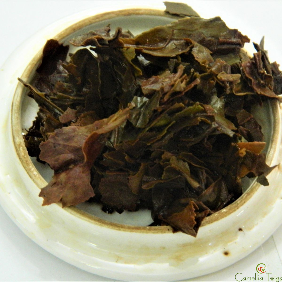 Camellia Twigs Muscatel Darjeeling Black Tea, 100gm Pouch