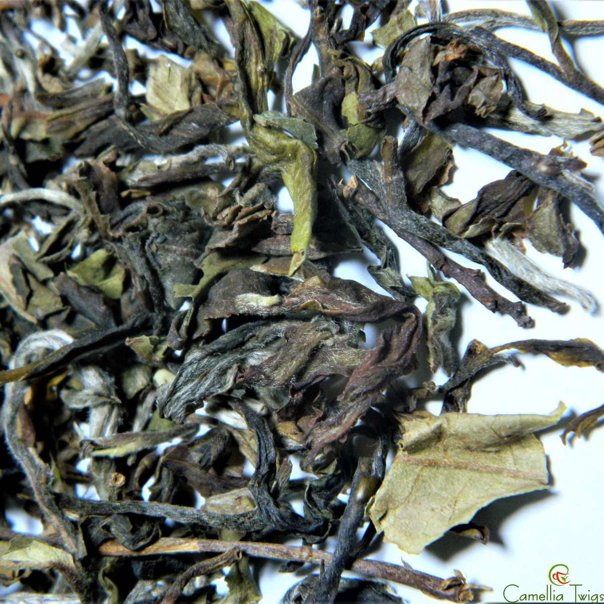 Camellia Twigs Muscatel Darjeeling Black Tea, 100gm Pouch