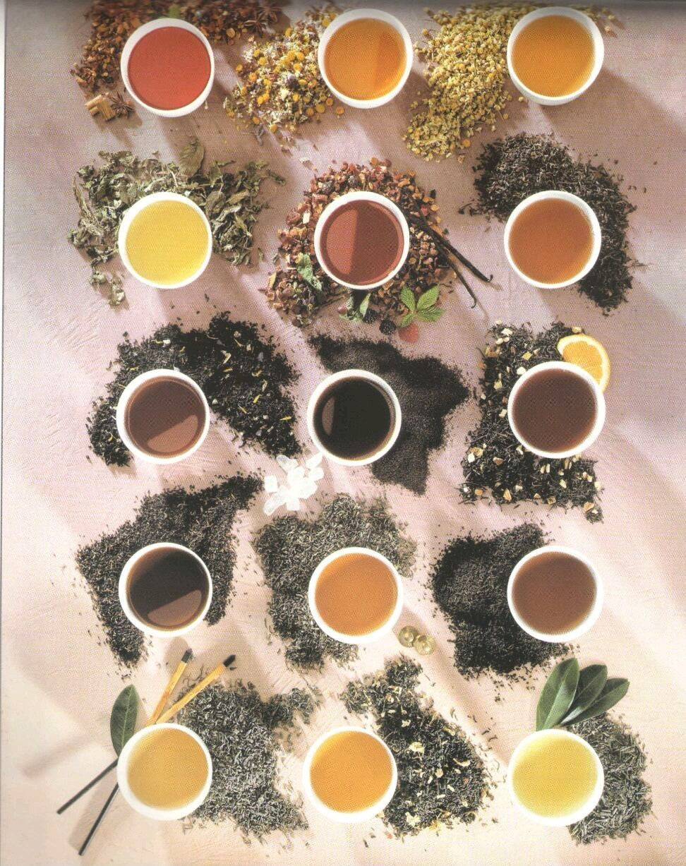 Camellia Twigs Mango Black Tea, 100 gm Pouch