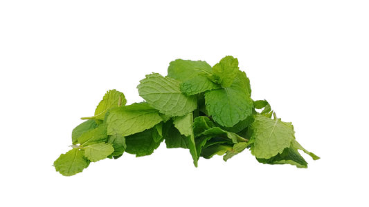 Spearmint Infusion – For PCOS & Hormonal Balance