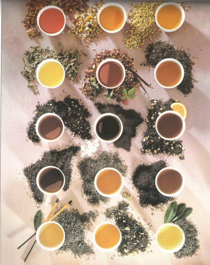 Camellia Twigs Mango Black Tea, 100 gm Pouch