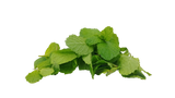 Spearmint Infusion – For PCOS & Hormonal Balance